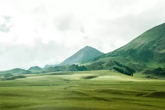 Arunachal is not only about Tawang Reccy