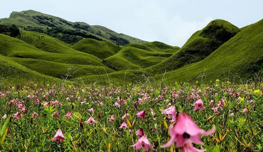 Nagaland Is More Than the Hornbill Festival